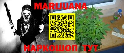 трава Сланцы