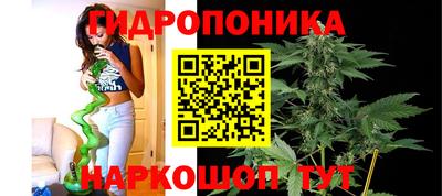 мескалин Славгород