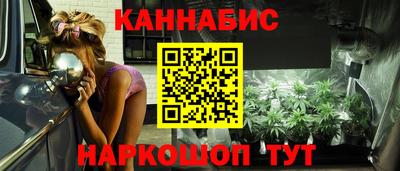 трава Сланцы