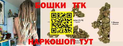 трава Сланцы