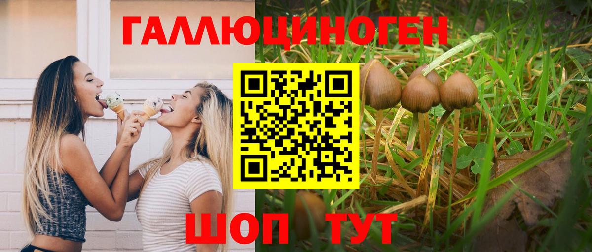 Полысаево  Псилоцибиновые грибы Magic Shrooms  Псилоцибиновые грибы мухоморы  Вход с VPN 