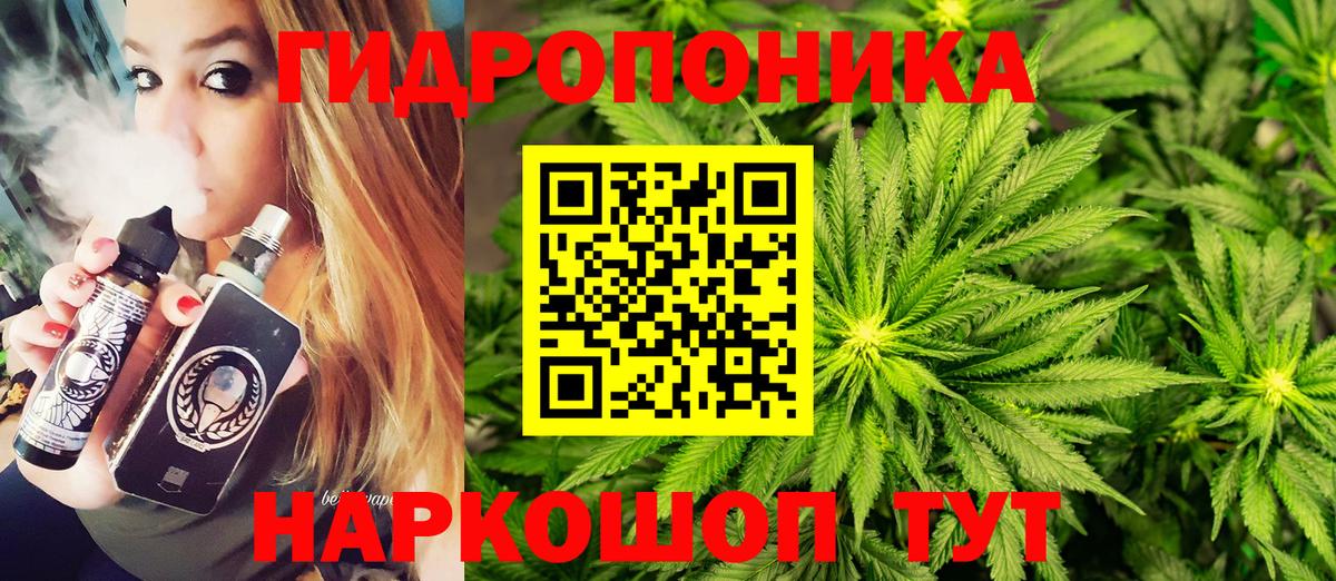APVP Полысаево